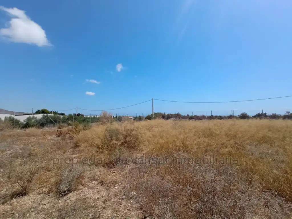 Terreny residencial en venda a Calarreona, imagen 7