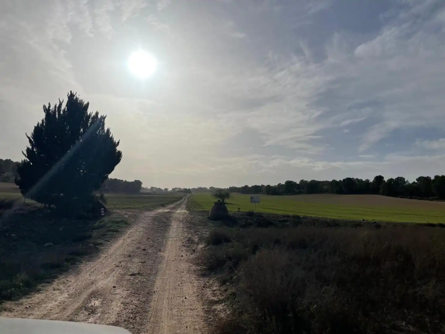 Terreni e lotti in vendita a La Milagrosa, imagen 5