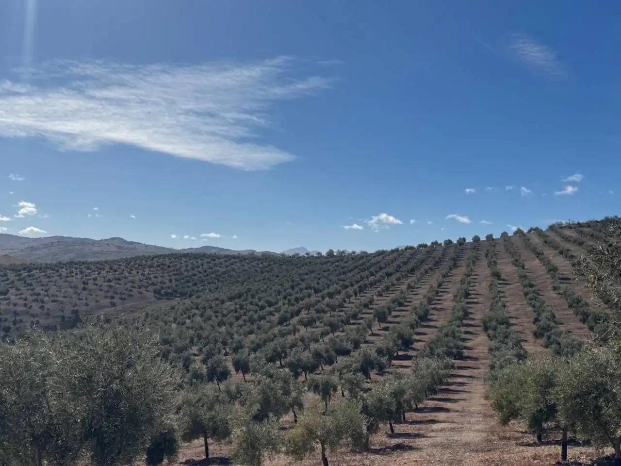 Terreni e lotti in vendita a Alhama de Granada, imagen 6