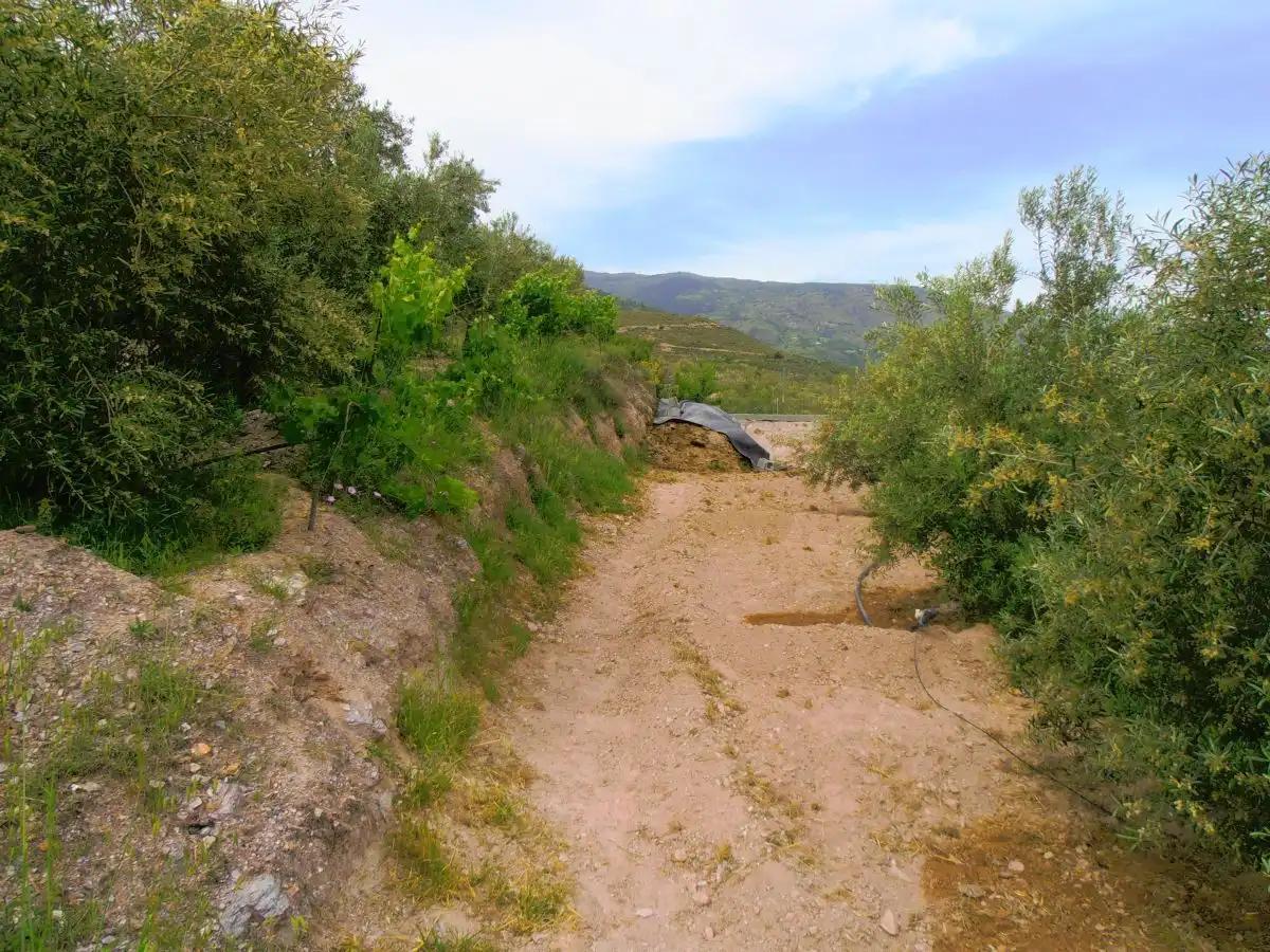 Casa rústica en venda a Órgiva, imagen 2