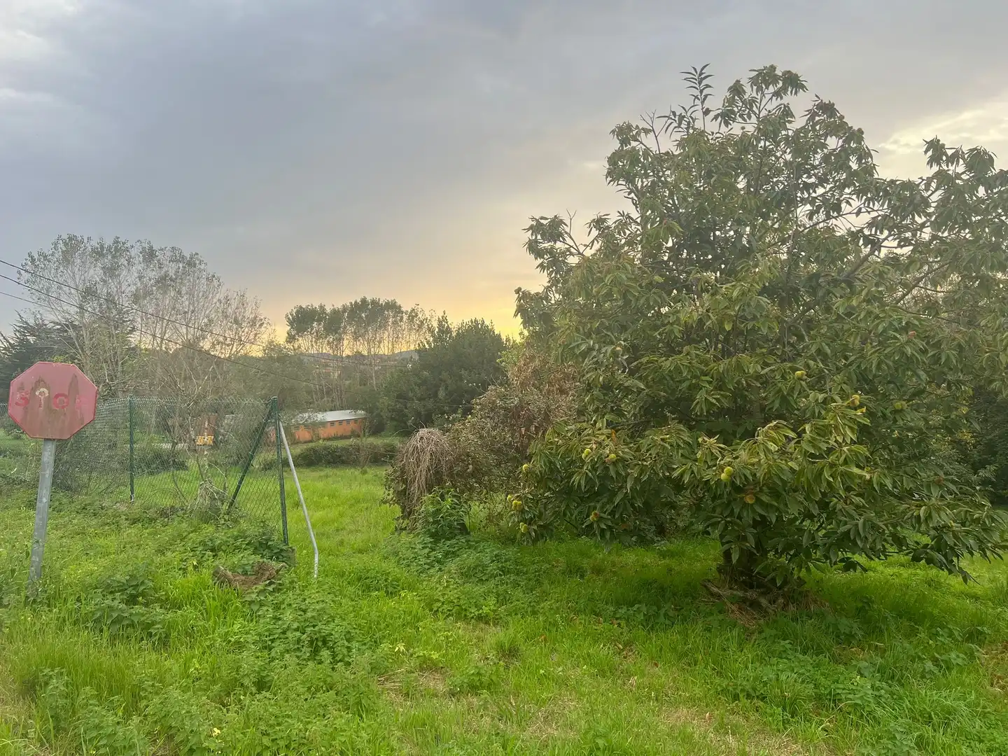 Residencial en venda en Valdoviño