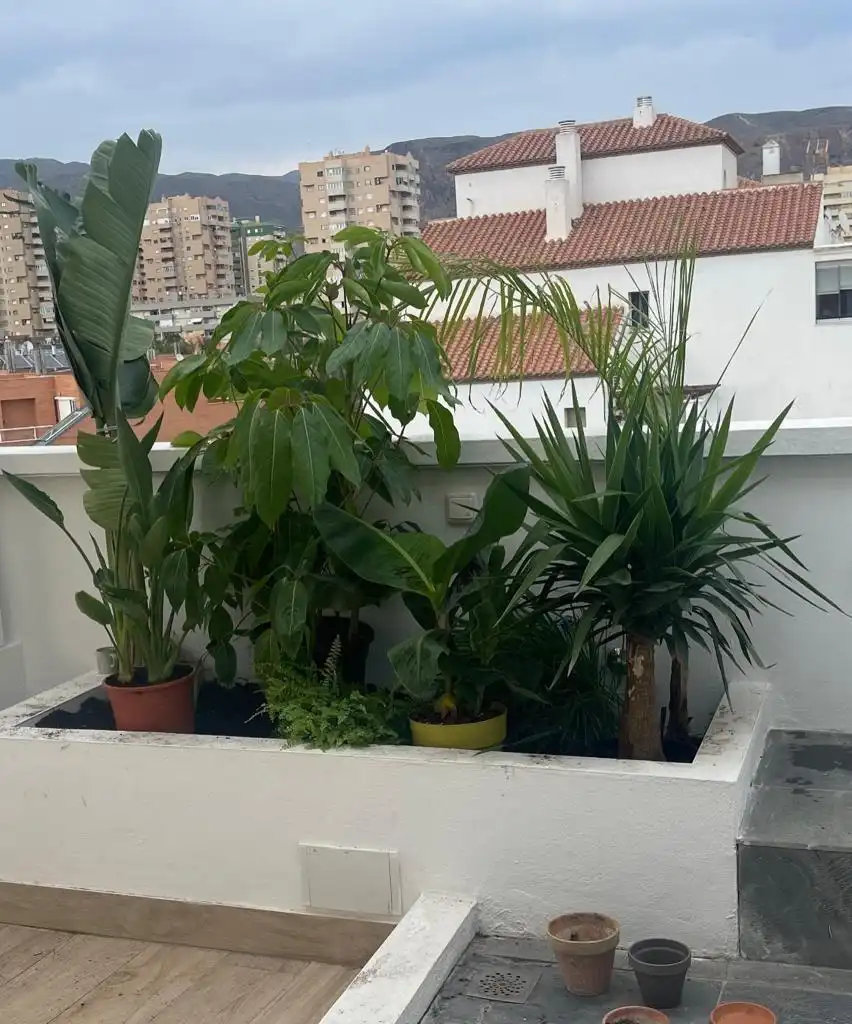 Penthouse with lift for sale in ETIOPIA (C), imagen 19