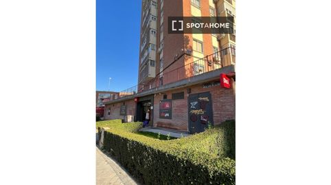 Foto 3 von Wohnung zur Miete in Pinar del Rey, Madrid Capital