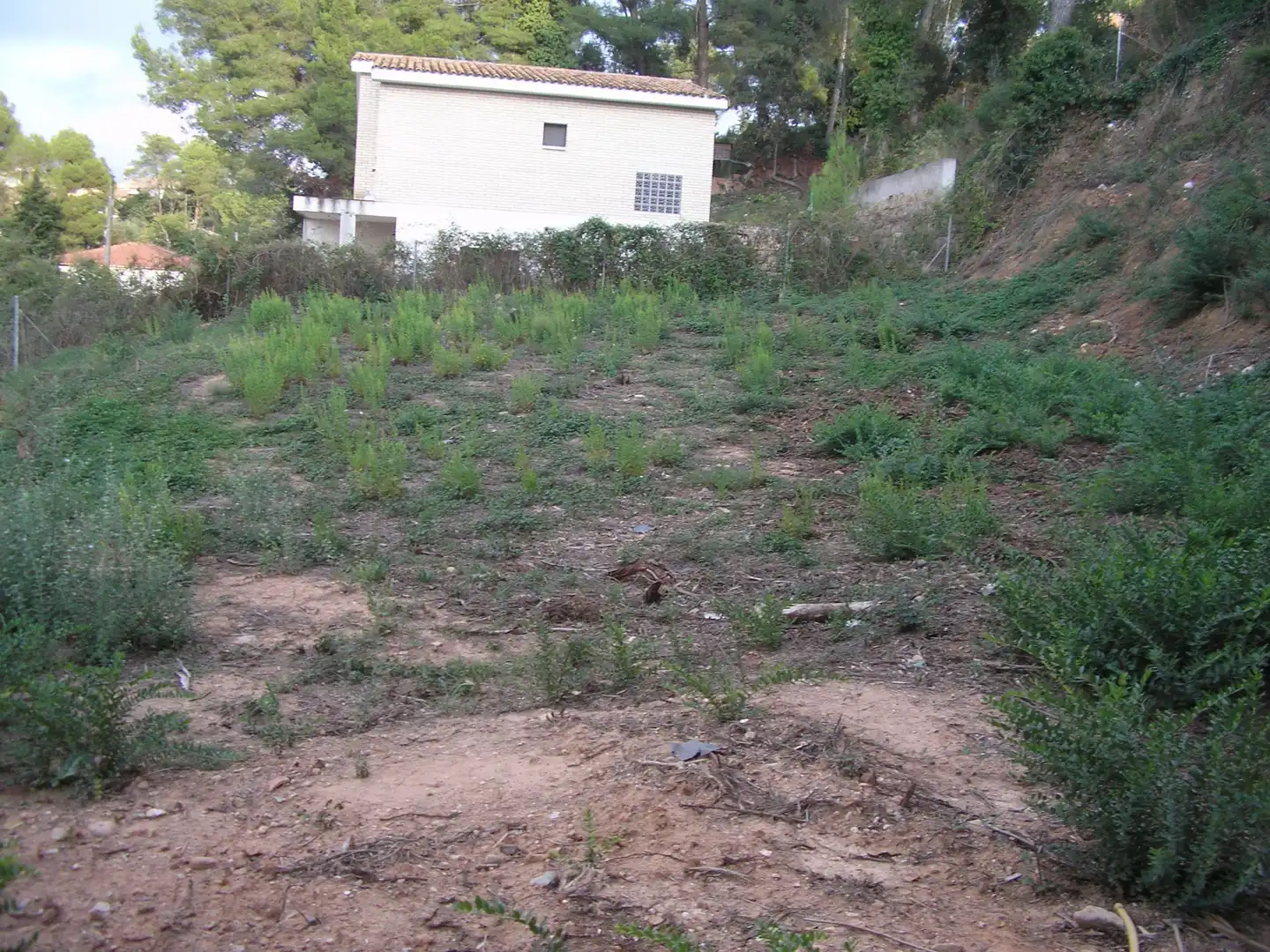 Terreno residencial en venta en Carrer Bonavista 22, imagen 9