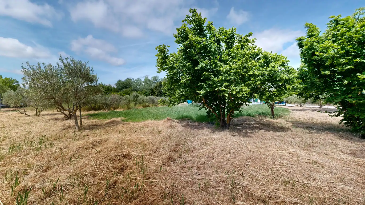 Rural land for sale in Tafalla - PARAJE LA RECUEJA, imagen 64