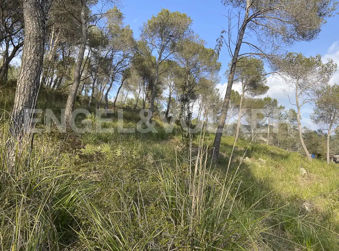 Terreno residencial en venta en Canyelles, imagen 9