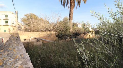 Photo 3 of Residential for sale in Carrer Ca's Quitxero, 17, Sant Jordi, Illes Balears