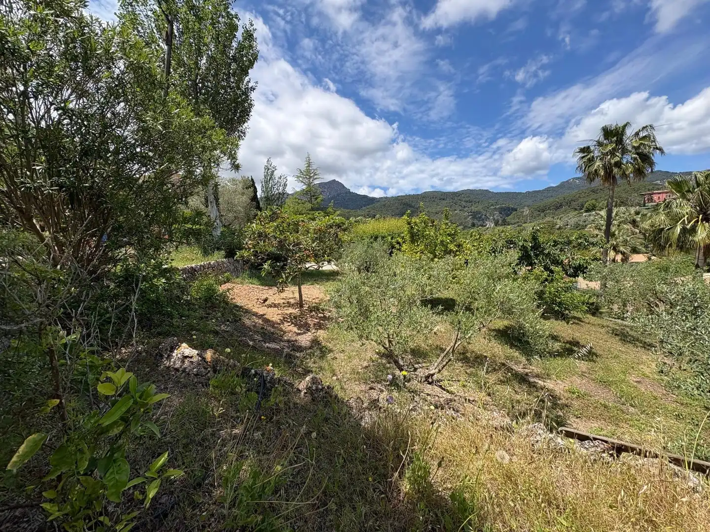 Terreny residencial en venda a Puigpunyent, imagen 3