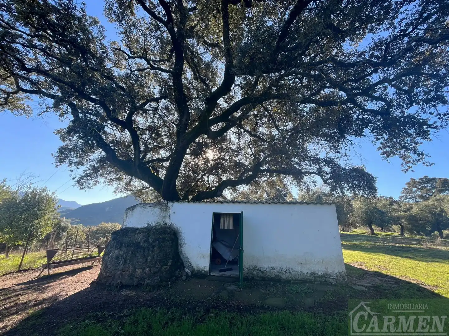 Vista exterior de Finca rústica en venda en El Bosque