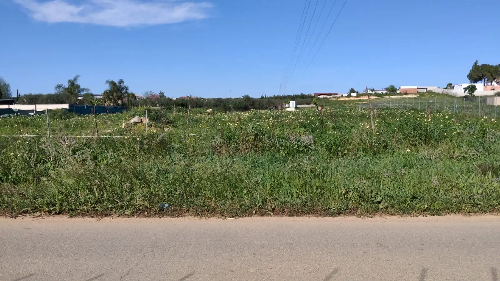 Rural land for sale in Coria del Río, imagen 2