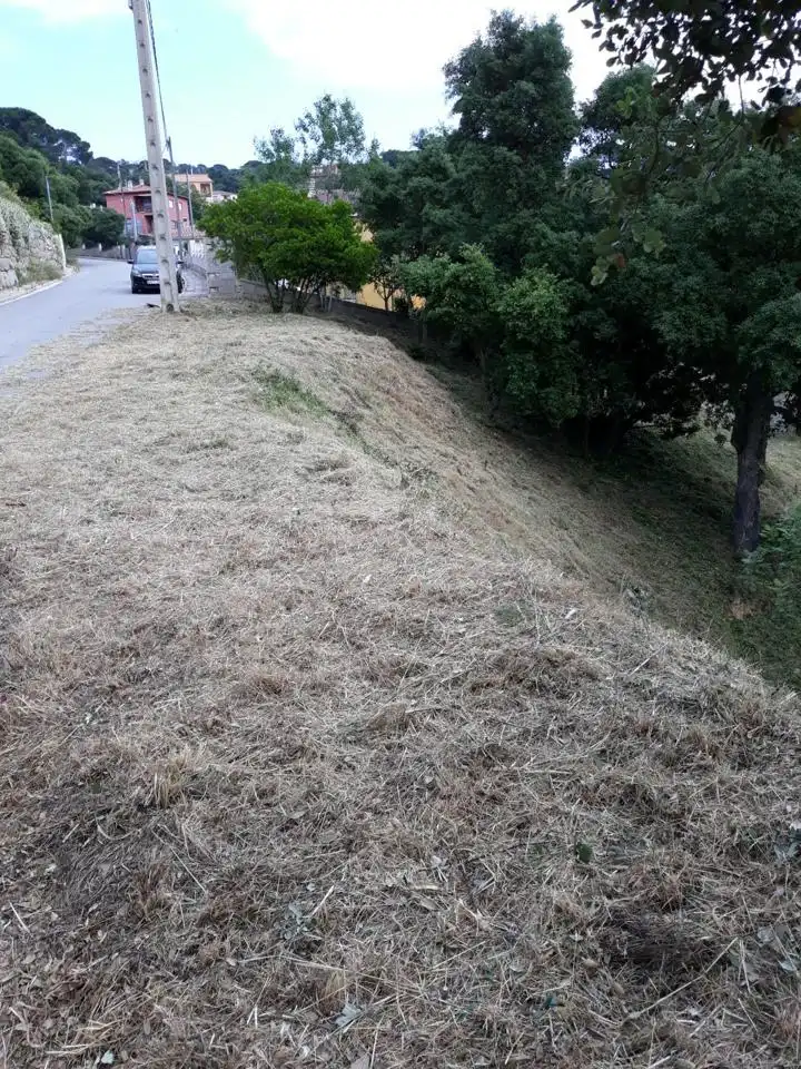 Grundstücke und Bauplätze zum Verkauf in Carrer Pollancre 82, imagen 5