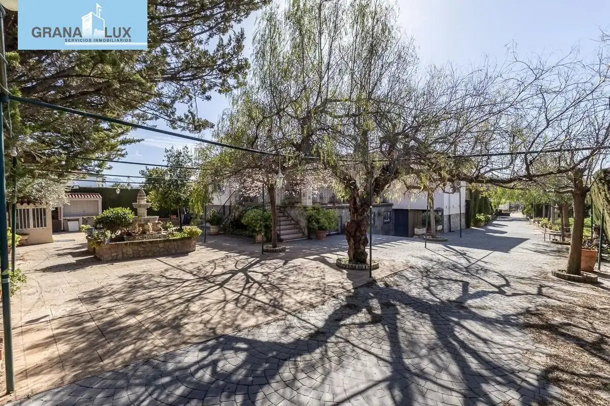 Chalet con piscina en venta en Calle Olmo, imagen 40
