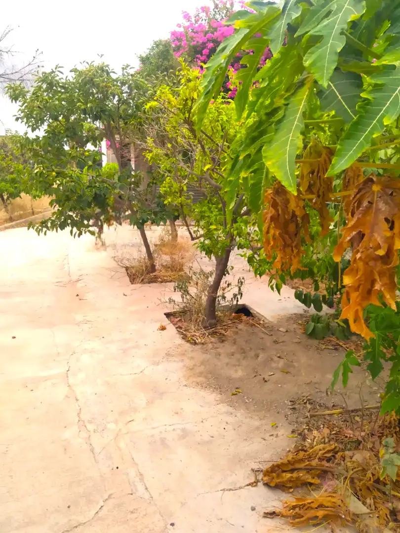 Casa o xalet en venda en Murcia amb Jardí privat