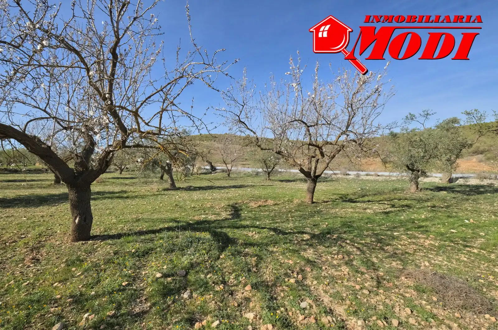 Terreni e lotti in vendita a El Valle, imagen 19