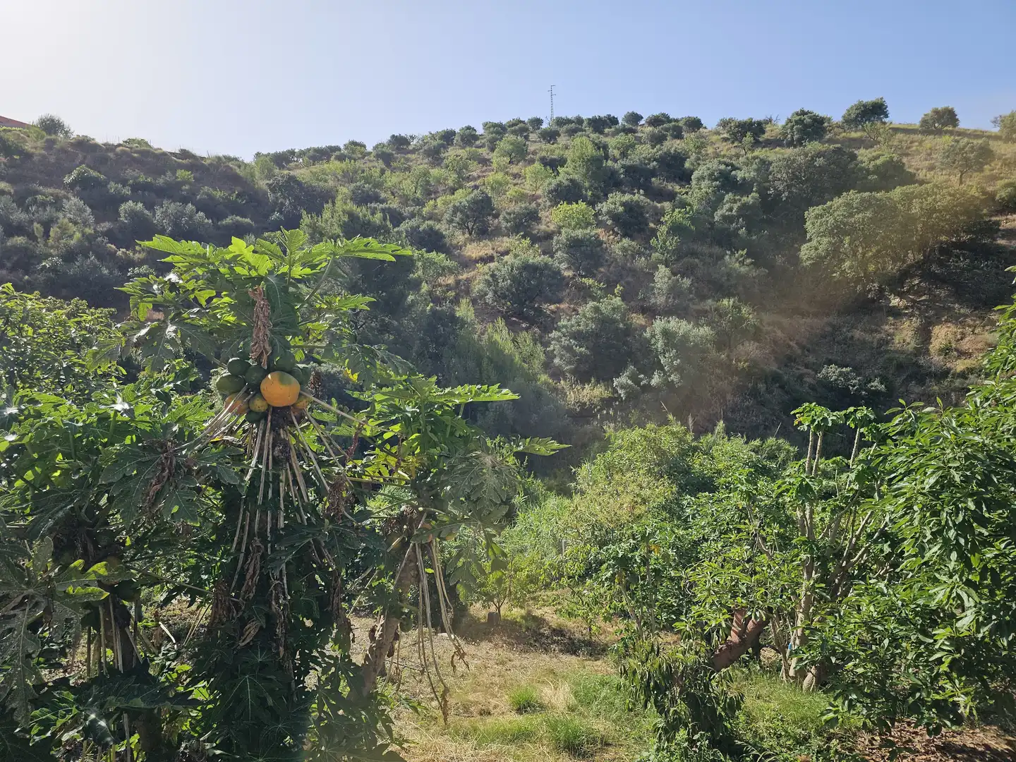 Country house for sale in El Rescate - Río Seco, imagen 15