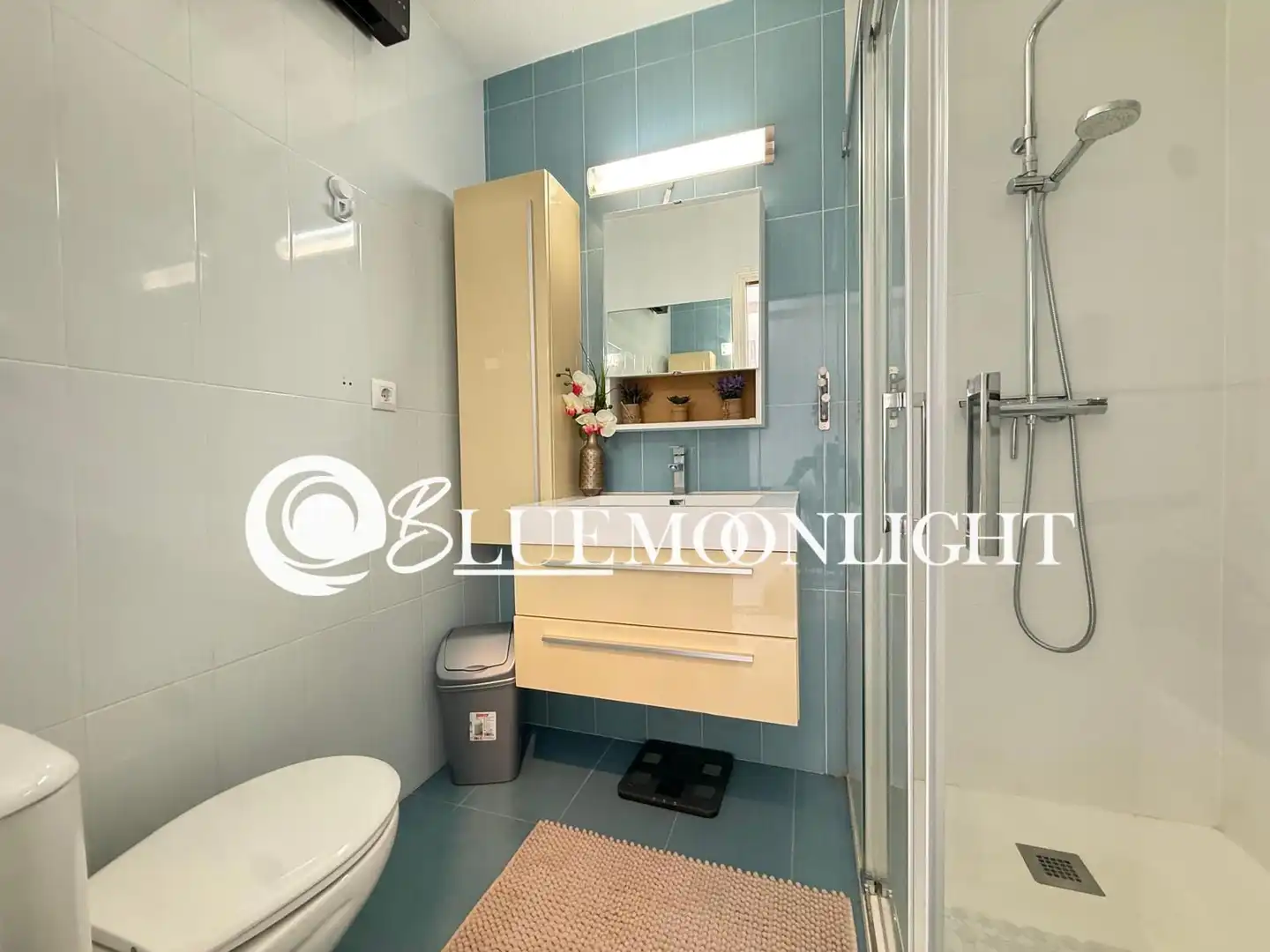 Penthouse zum Verkauf in REALENC, imagen 16