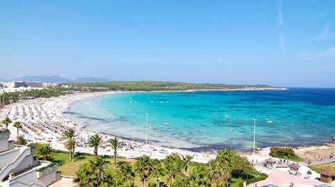 Magníficos pisos nuevos en venta en la costa noreste de Mallorca Sa Coma!, imatge 4