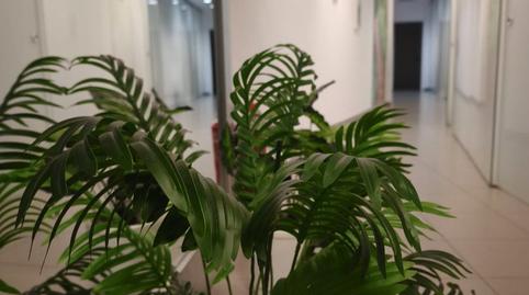 Foto 3 de Oficina de lloguer a Plaza de España, 13, Sancti Spiritus - San Juan, Salamanca Capital