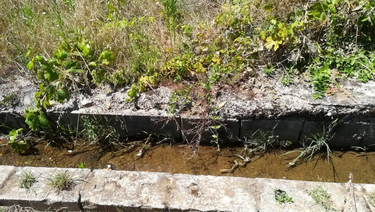 Terreni e lotti in vendita a Cacabelos, imagen 9