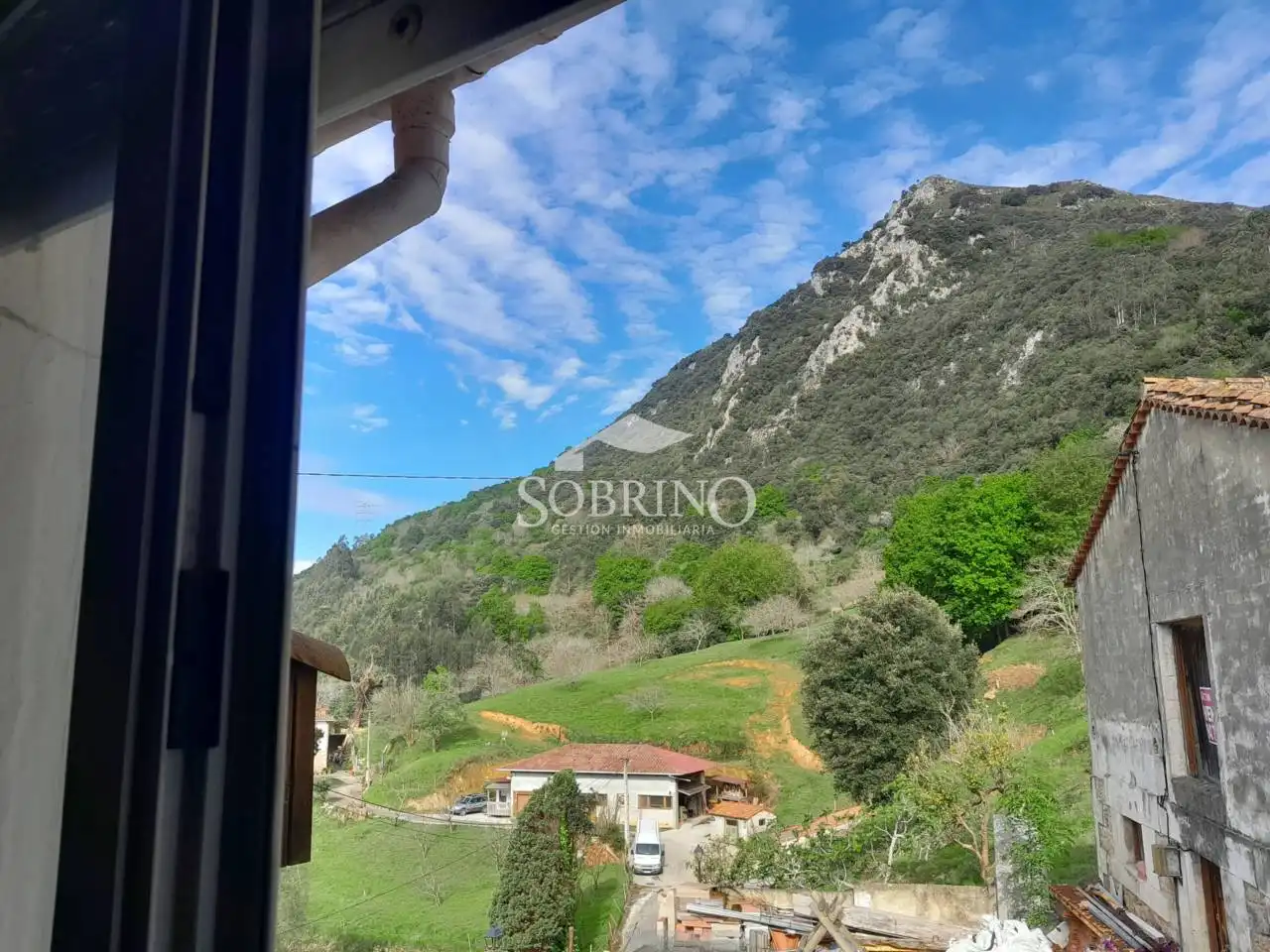 Vista exterior de Casa o chalet en venta en Peñamellera Baja con Jardín privado