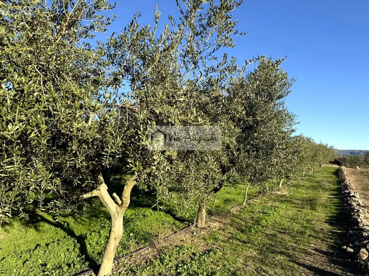 Terrain rustique à vendre à Molineres, imagen 17