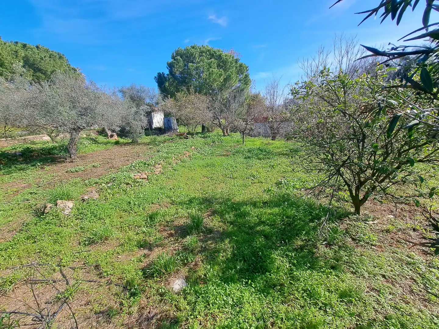 Villa mit Pool zum Verkauf in Almodóvar del Río, imagen 6
