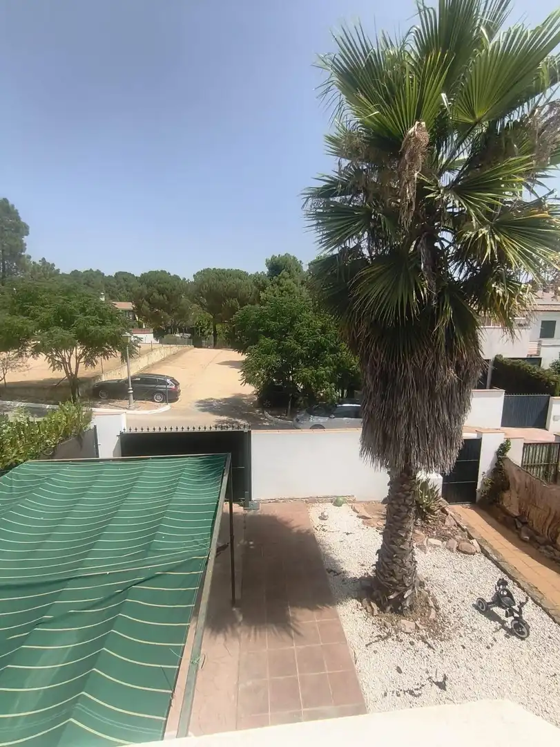 Vista exterior de Casa o chalet en venta en Córdoba con Aire acondicionado, Calefacción y Jardín privado