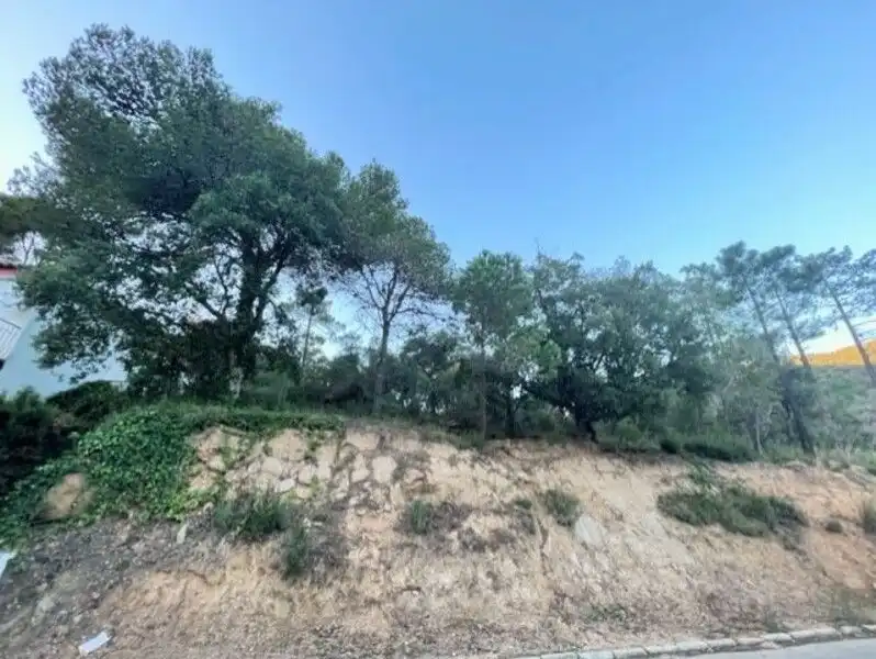Terreny residencial en venda a ROSAMAR (PARCELAS 117 A 120) S/N, imagen 8