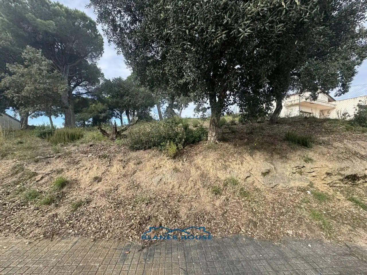 Wohnbaugrundstück zum Verkauf in Avenida San Daniel 0, imagen 4