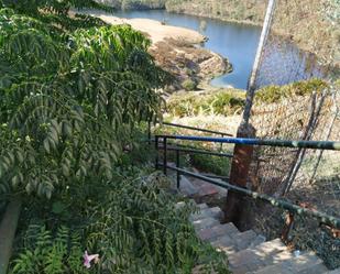Jardí de Casa o xalet en venda en Aznalcóllar amb Terrassa i Traster