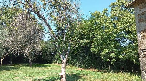 Foto 5 de Finca rústica en venta en Aranga, A Coruña