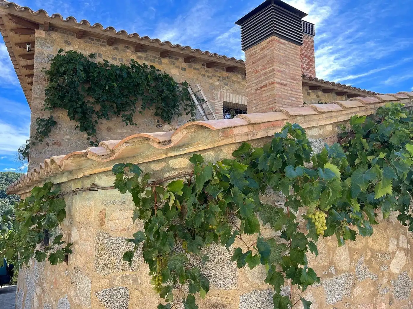 Vista exterior de Finca rústica en venta en La Vajol con Jardín privado y Terraza