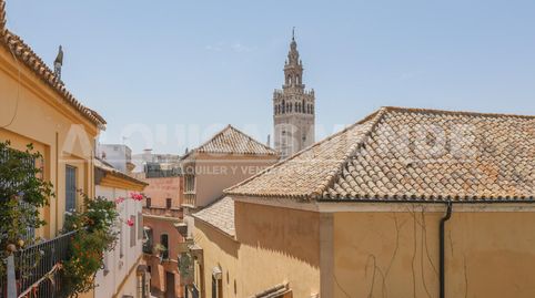 Casco Historico de Sevilla. Excelente vivienda con calidades de lujo. Garaje y Trastero