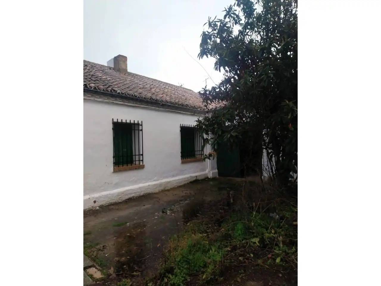 House with garden for sale in Calle calle miguel de cervantes, imagen 2
