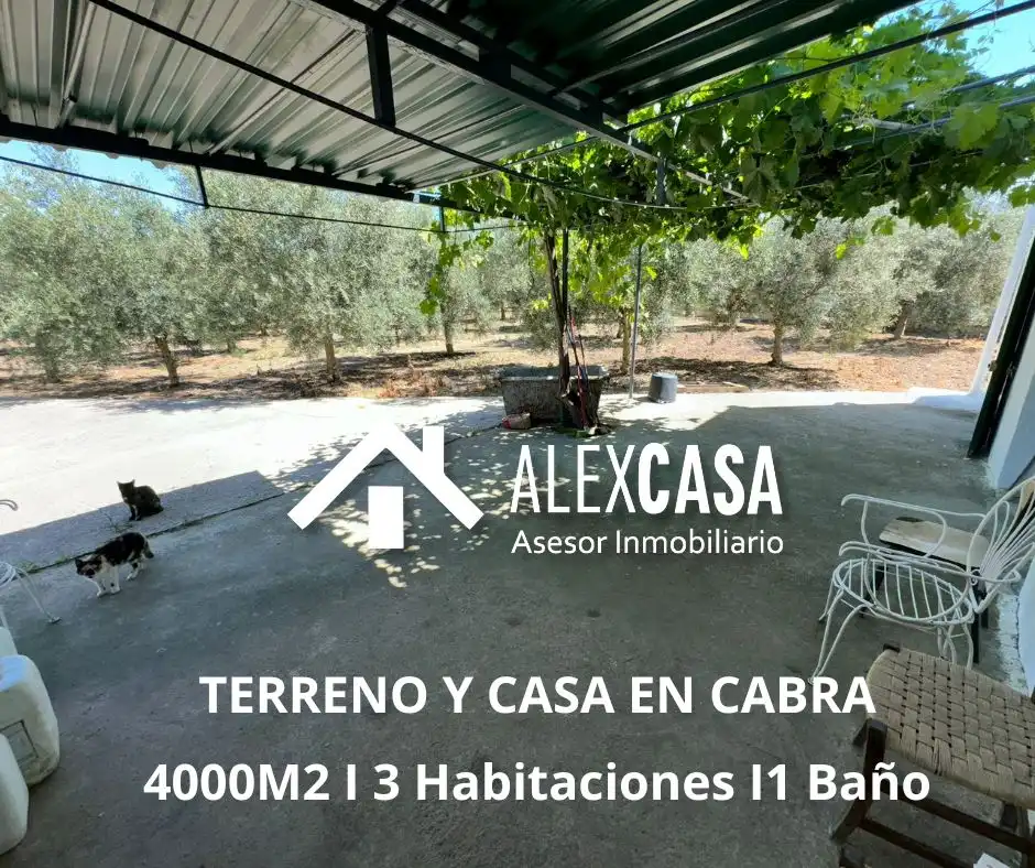 Terreno rustico in vendita a Plaza Vieja