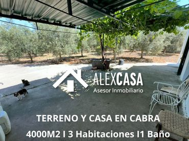 Terreno rustico in vendita a Plaza Vieja
