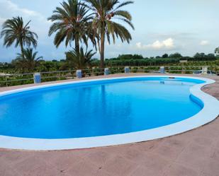 Swimming pool of Land for sale in Alzira