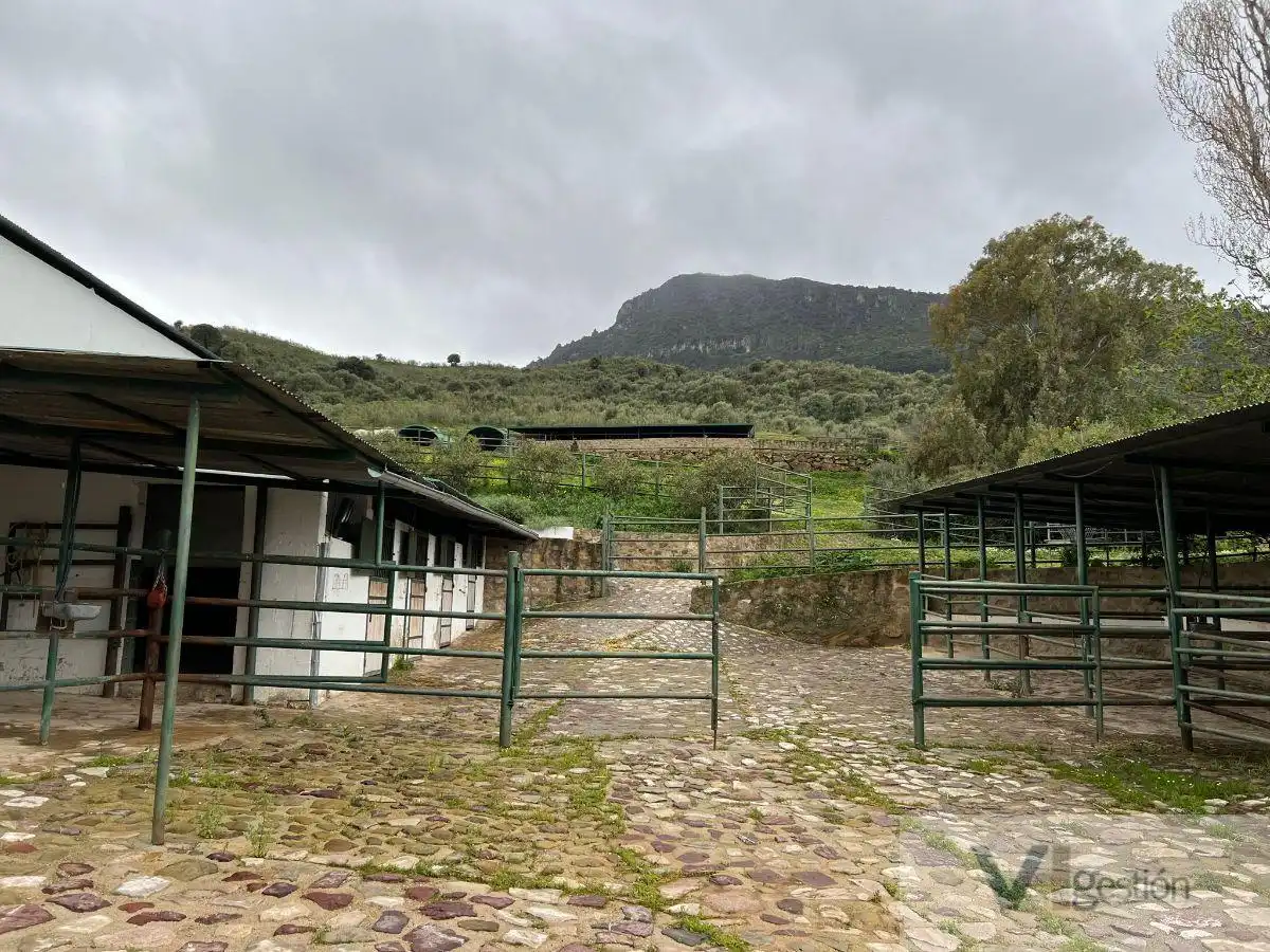 Country homes for sale in El Gastor