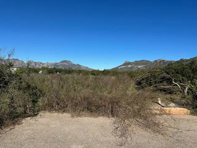 Terreny rústic en venda a Partida Cova Negra, imagen 6