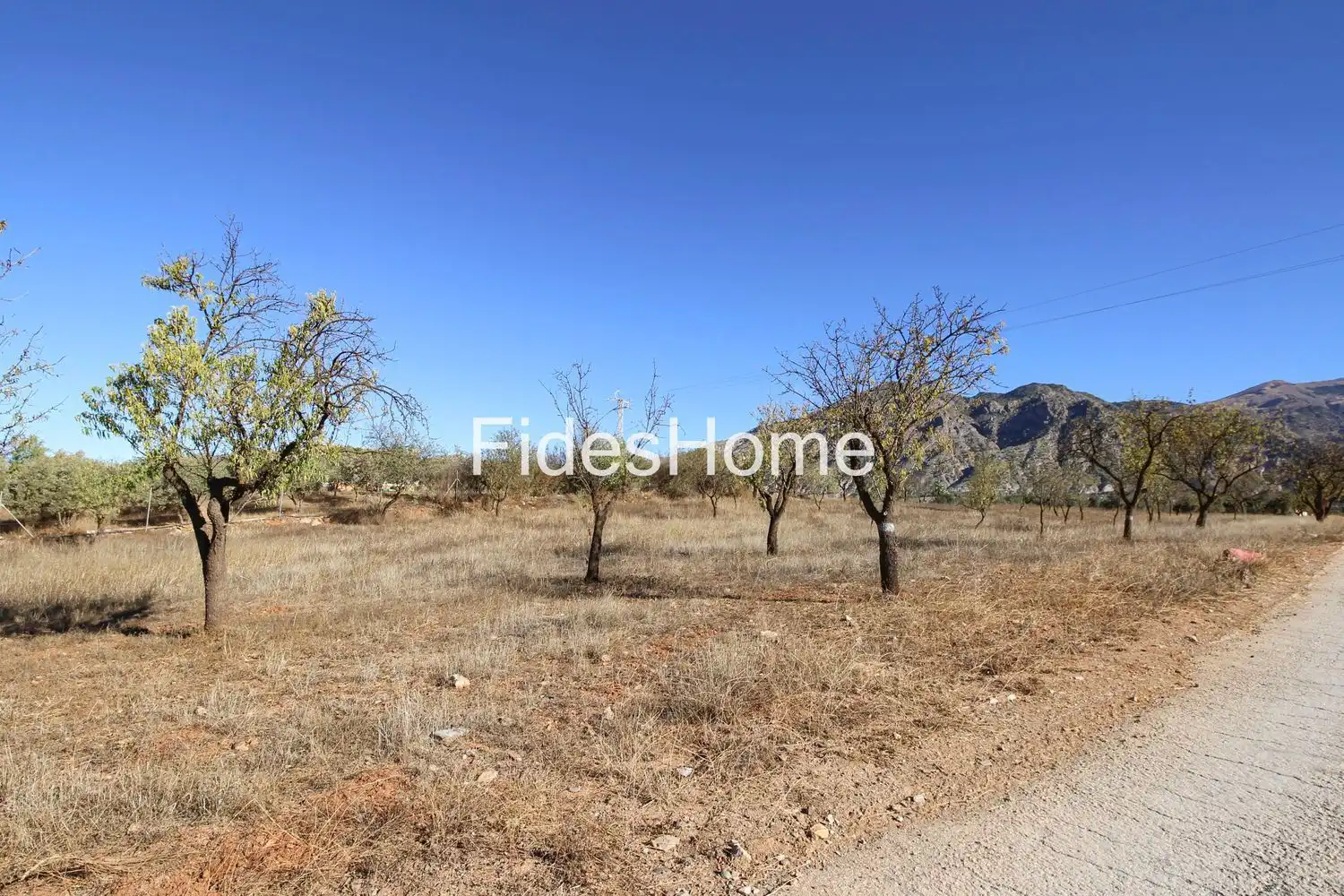 Rural land for sale in XC8V+JXJ Acequias 0, imagen 5