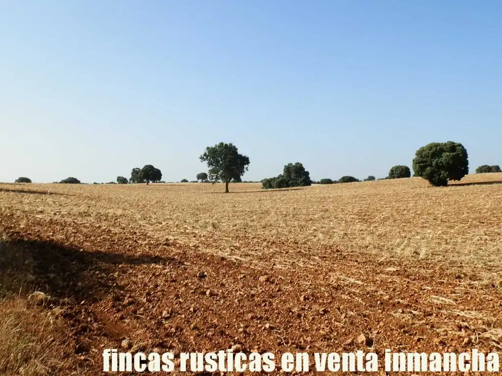 Terreno en venta en Alcaraz