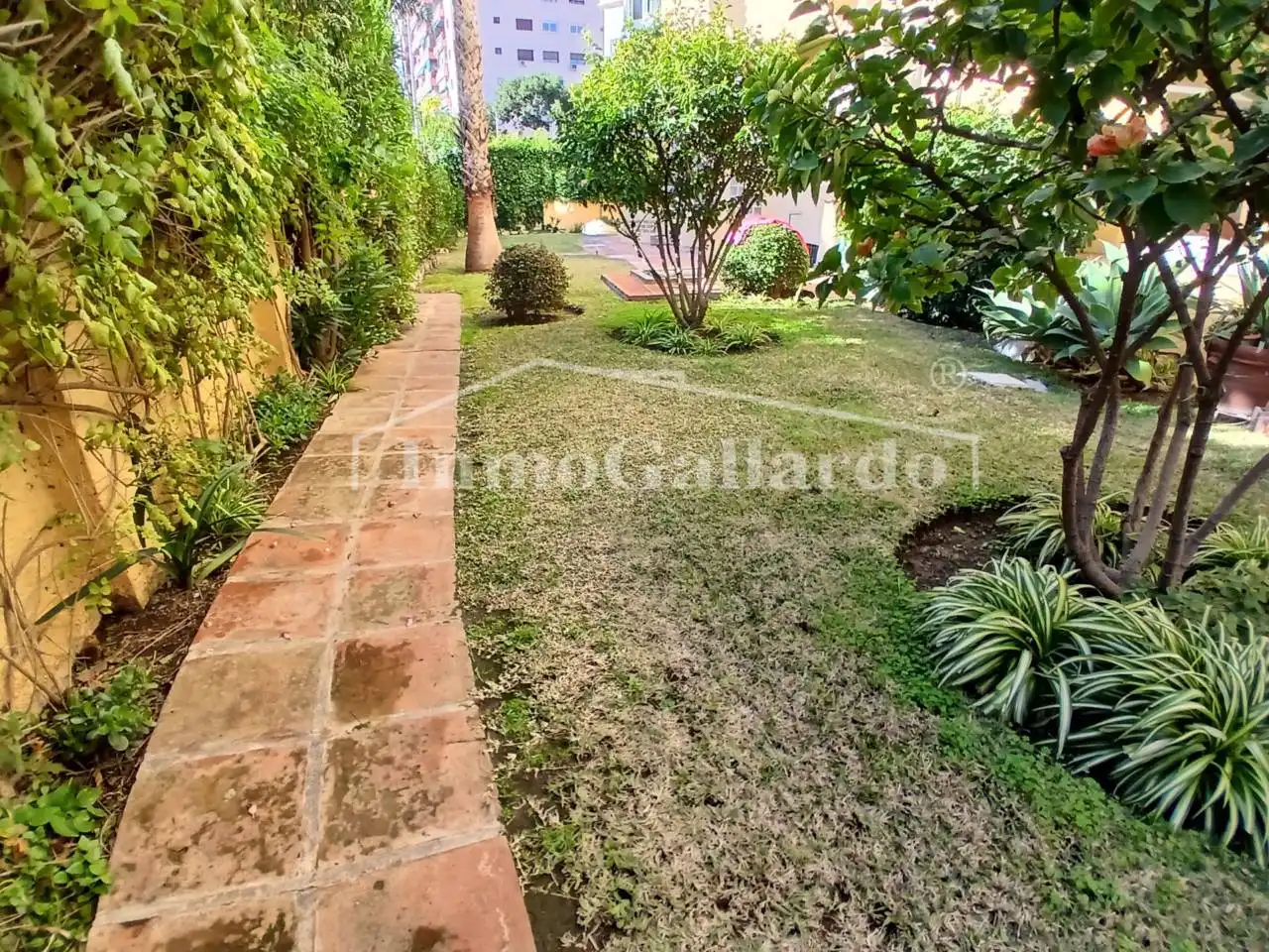Apartments for rent in El Candado