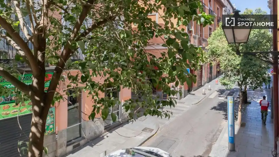 Piso con terraza en alquiler en Centro, imagen 19
