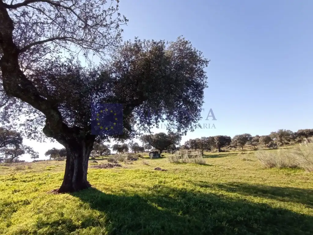 Houses for sale in Norte