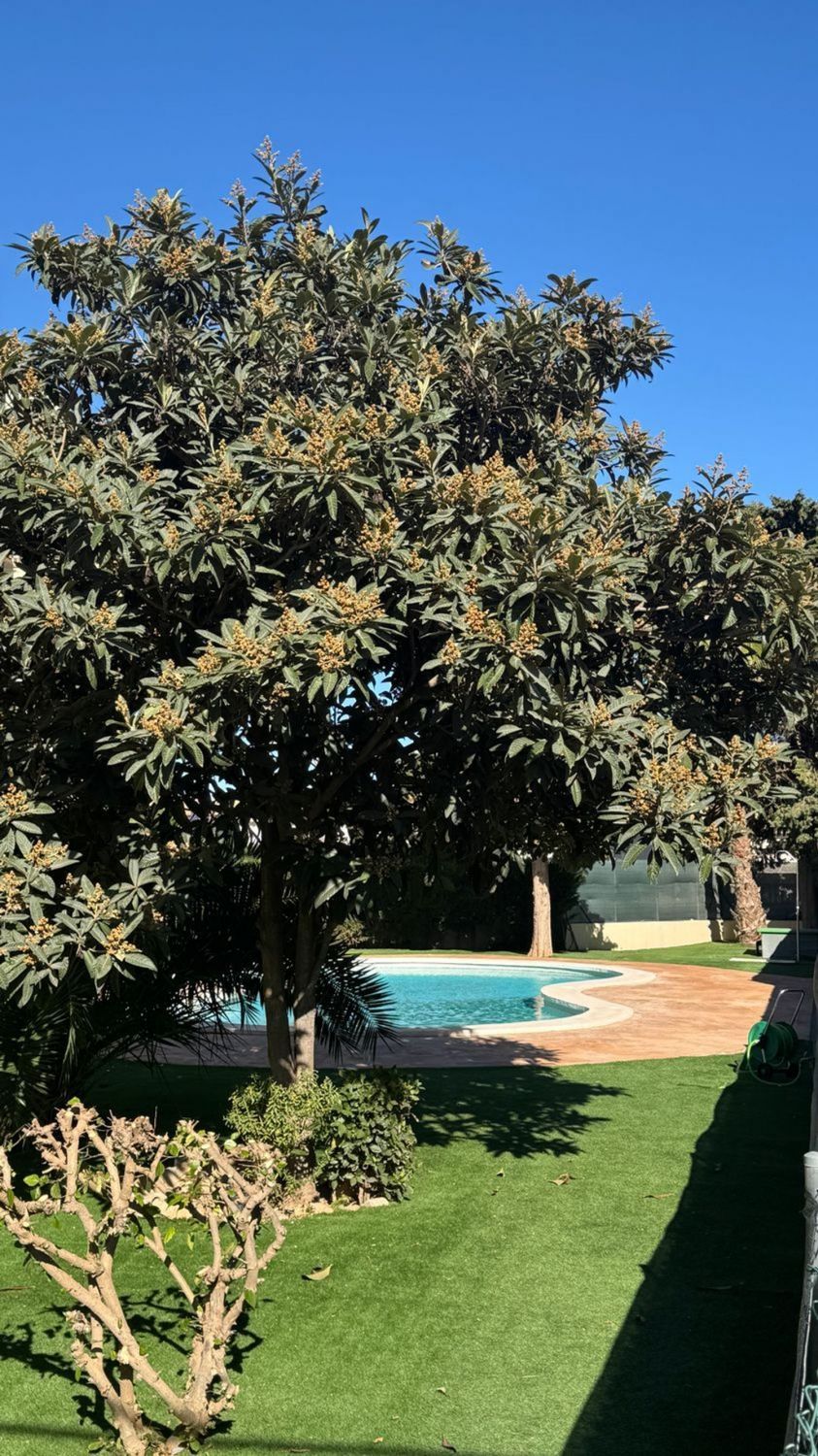 Piso en venta en Calle Meseguer, Santiago de la Ribera