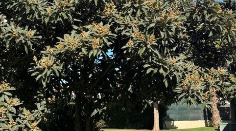 Foto 2 de Piso en venta en Calle Meseguer, Santiago de la Ribera, San Javier