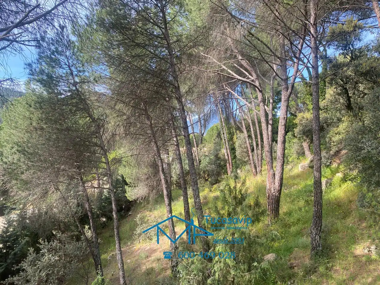 Terreni e lotti in vendita a Cebreros, imagen 21