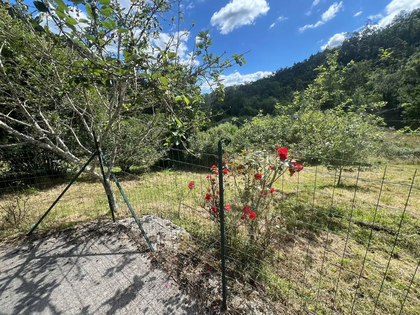Casa o xalet en venda a Colunga