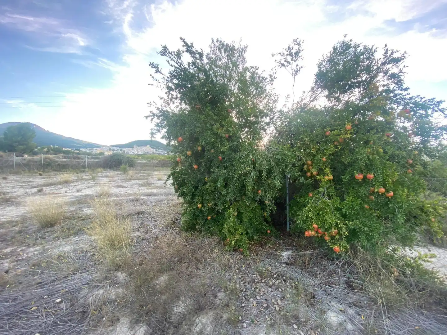 Terreno residenziale in vendita a Moratalla, imagen 22