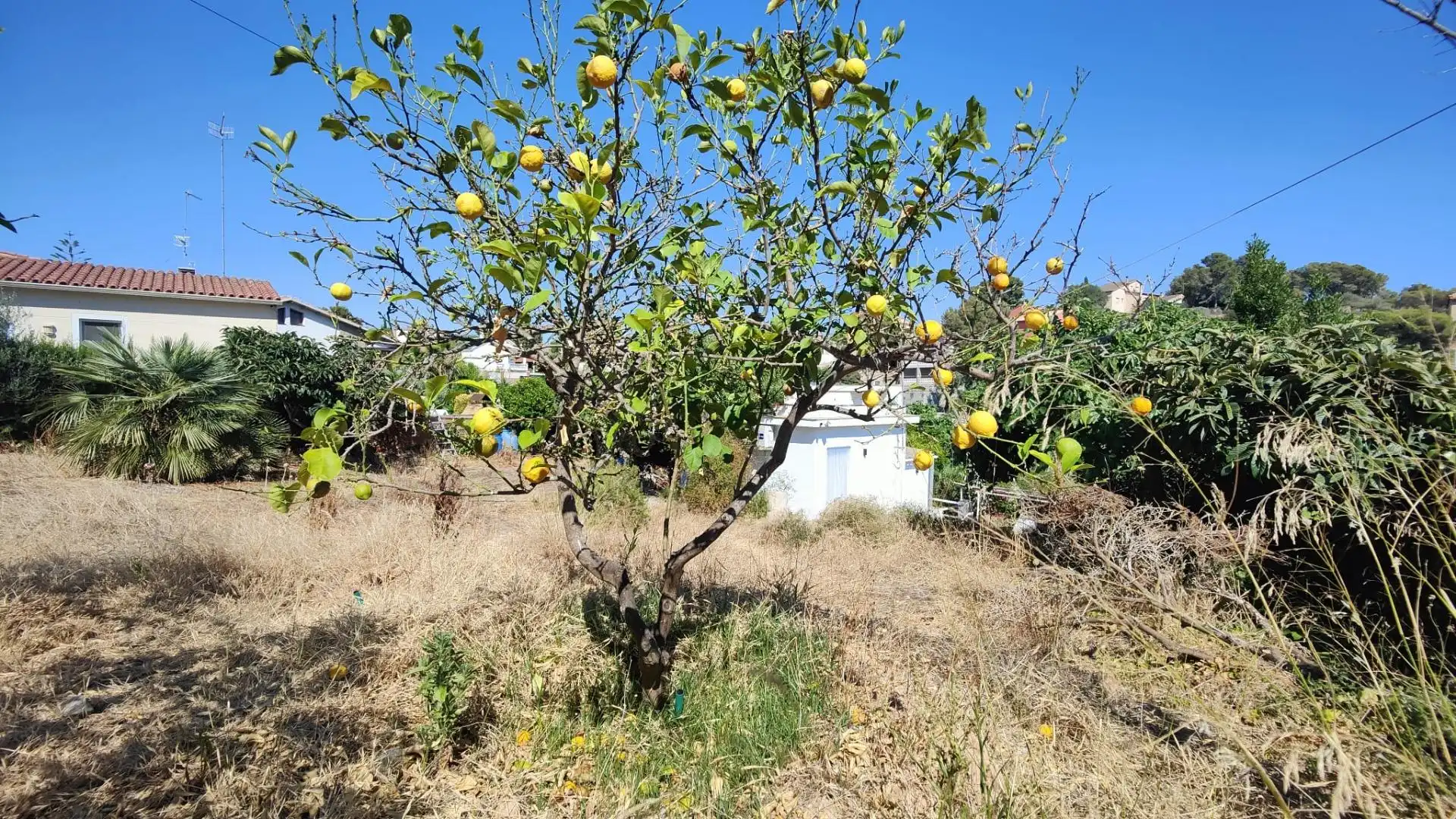 Wohnbaugrundstück zum Verkauf in Avenida Avinguda Cunit, imagen 48